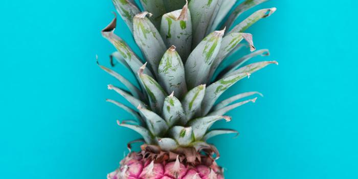 2729x4000 Pink and Green Pineapple Wallpaper - WallpaperCanyon