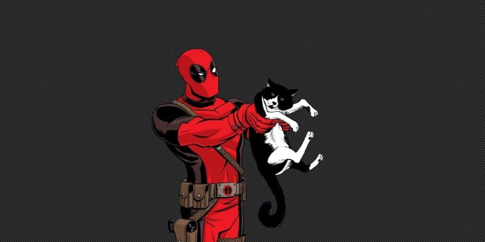 1680x1050 Deadpool holding black cat 3D wallpaper HD wallpaper | Wallpaper Flare