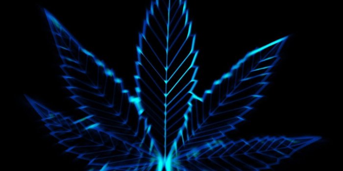 1440x1080 Neon Blue Pot Leaf | Artwork: Pot | Weed wallpaper, Mobile wallpaper