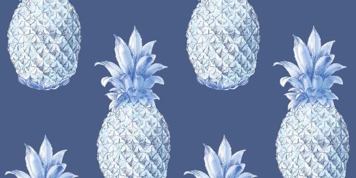 1000x1000 Pineapple Wallpapers - Top Free Pineapple Backgrounds - WallpaperAccess
