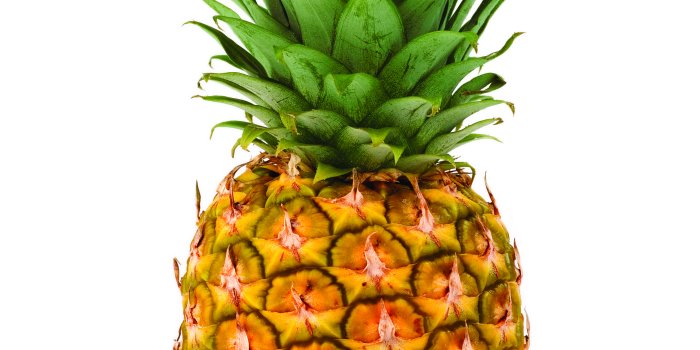 2551x3685 Pineapple HD Wallpapers