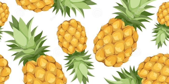 1300x1390 Pineapple Clipart Background