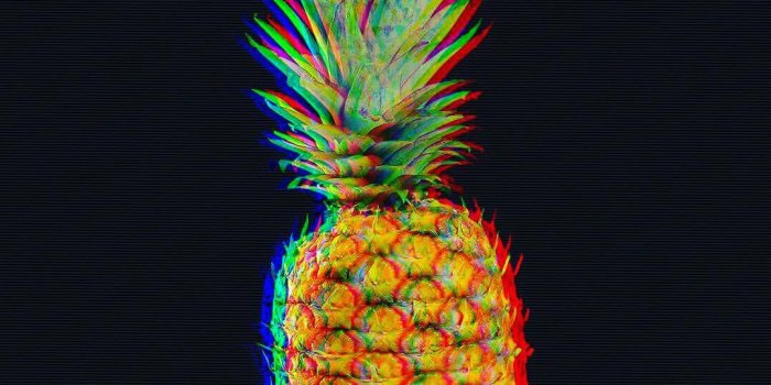 1080x1080 Papples @theteampapple Instagram Profile | Picdeer