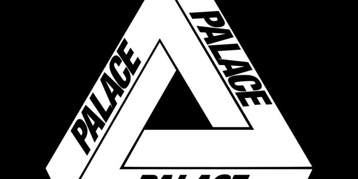 1080x1920 59+ Skate Brand Wallpapers on WallpaperPlay