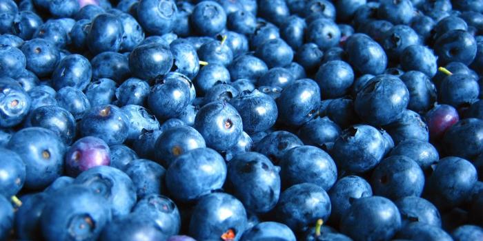 1920x1200 Blue Food Wallpapers - Top Free Blue Food Backgrounds - WallpaperAccess