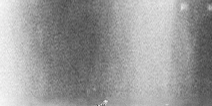 1125x2436 A Tale of Evolution Wallpaper (Artwork by: @txniz_) : XXXTENTACION