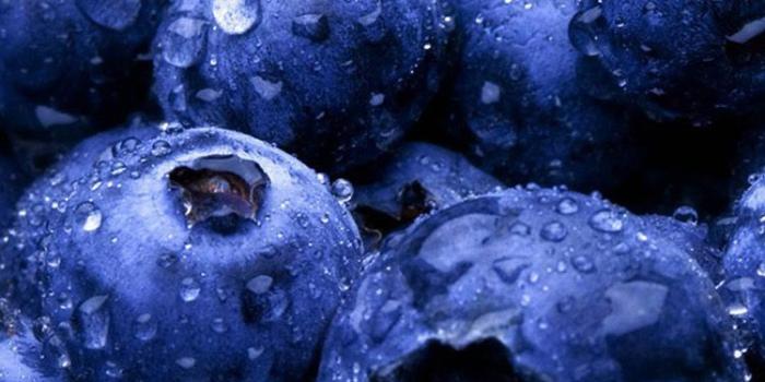 750x1334 5 Health Benefits to Eat More BlueBerries | Healthy Food / Healthy