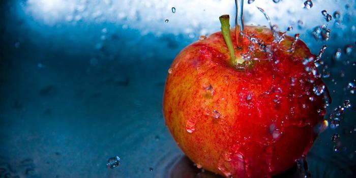 1366x768 Culinary Physics: Food Wallpaper Download Free