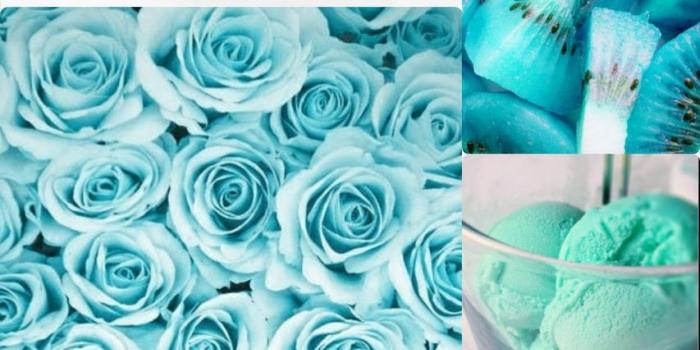 853x1280 Kiwis images on Favim.com