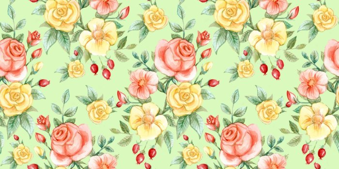 1920x1920 Roses,rose,watercolor,watercolour,background - free photo from
