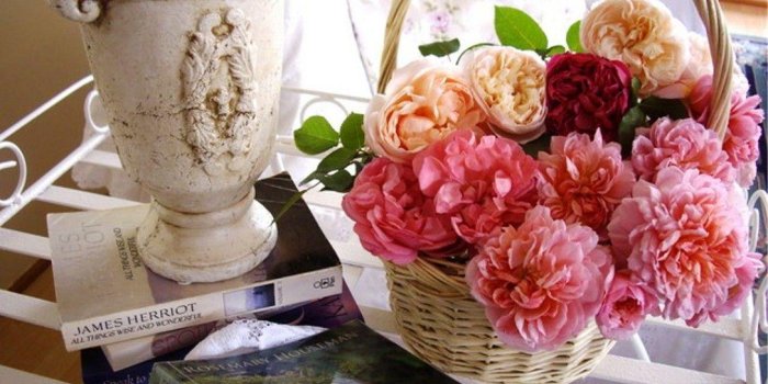 1088x816 Ivory Rose Wallpapers