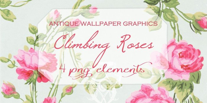 1200x800 Climbing Roses