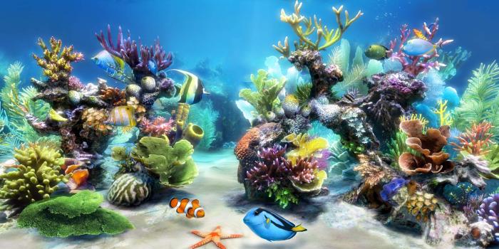 1920x1080 Sim Aquarium - Virtual Aquarium, Screensaver and Live Wallpaper