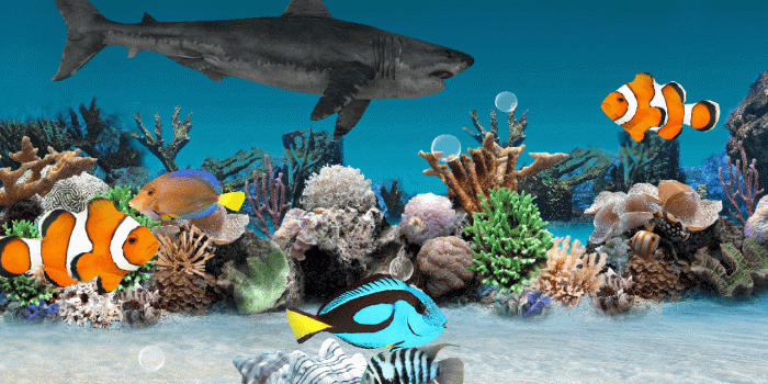 1280x800 Live Aquarium Wallpaper With Sound - 3d Wallpaper Fish Aquarium