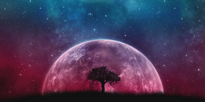 2048x1152 Download wallpaper 2048x1152 tree, planet, stars, galaxy, art