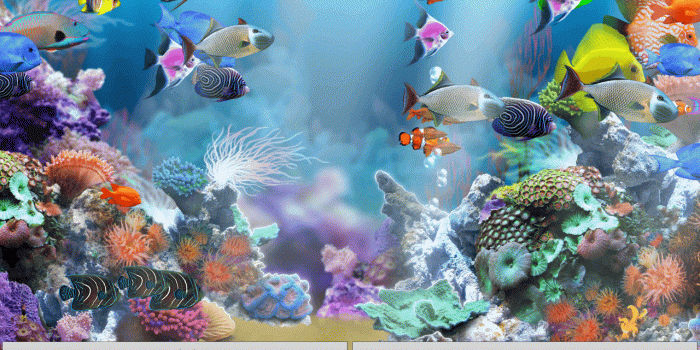 1280x800 44+] Aquarium Live Wallpaper for PC on WallpaperSafari