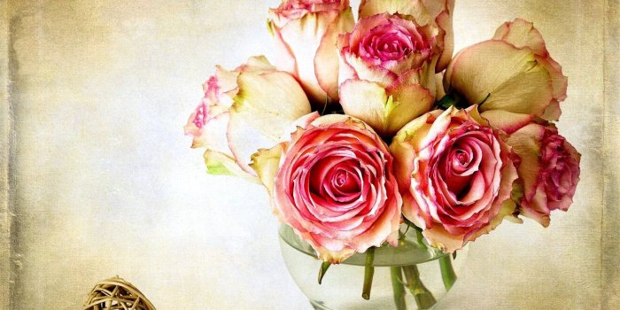 1440x900 Rose Order 1440x900 Wallpapers, 16:10 Desktop Backgrounds, Free