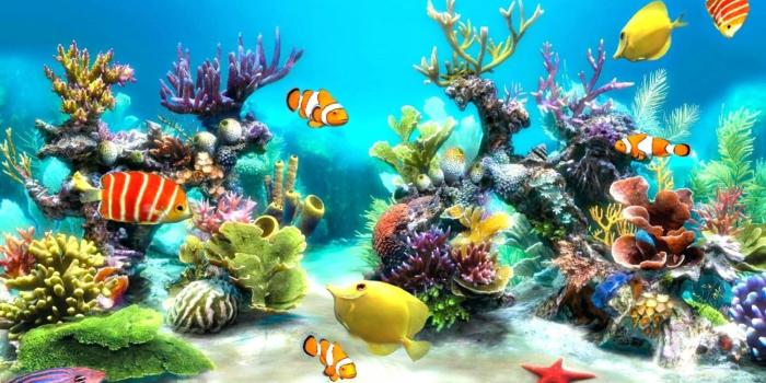 1600x900 55+ Fish Tank Wallpapers - Download at WallpaperBro