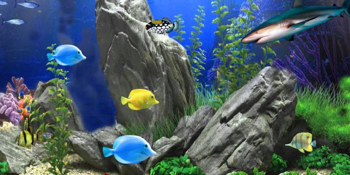 1280x800 Fish Aquarium Live Wallpaper for Android - APK Download