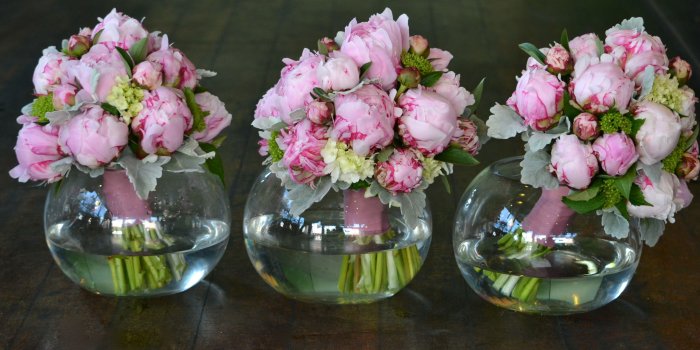 4251x2564 old fashioned roses | T-Rose Times