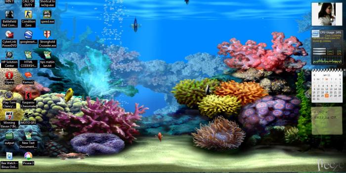 1366x768 49+] Aquarium Live Wallpaper Windows 10 on WallpaperSafari
