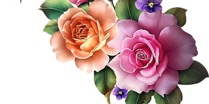 1026x927 RatMissing CoolHeart on pr | Rose art, Flowers, Flower wallpaper