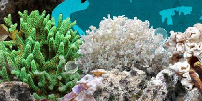 720x1280 3D Aquarium Live Wallpaper