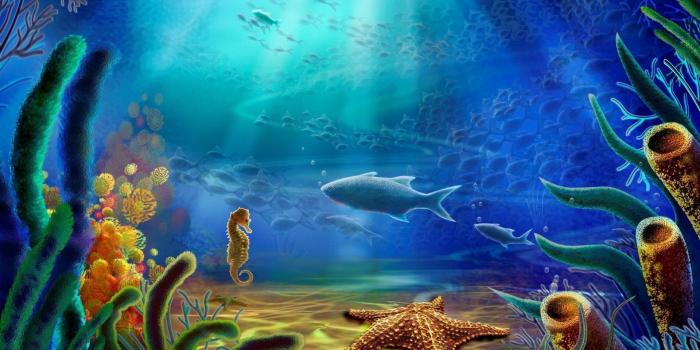 1920x1080 Download 3d Aquarium Live Wallpaper Hd (62+) - Free Wallpaper For