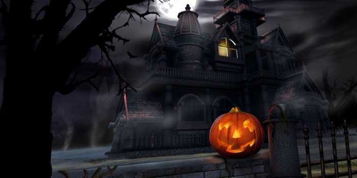 1366x768 Download wallpaper 1366x768 halloween, pumpkin, lantern, house