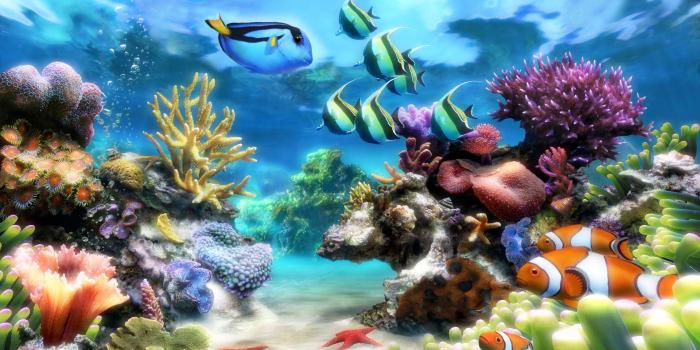 1920x1080 Live Aquarium Windows 7, High Quality