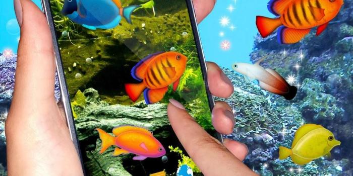 938x900 Aquarium 3D Live Wallpaper for Android - Free download and software