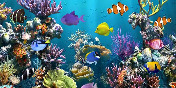 1440x1280 Live Aquarium Wallpaper by _MARIKA_ - 94 - Free on ZEDGE™