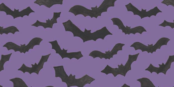 1080x1080 Pastel Goth Bats Wallpaper Pattern