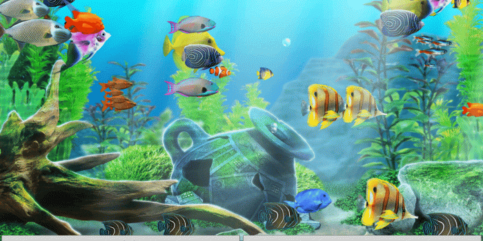 1280x800 Download aquarium live wallpaper is an amazing quality active
