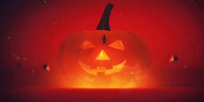 1366x768 Download wallpaper 1366x768 halloween, holiday, pumpkin, spider