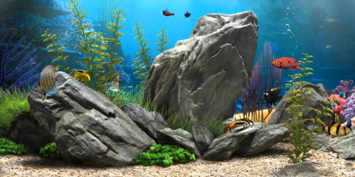 1920x810 Aquarium Wallpapers