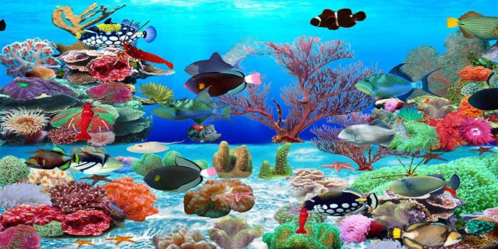 1600x900 Live Fish Aquarium Computer Background | Allcanwear.org