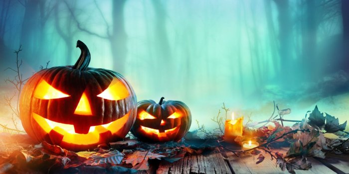 1366x768 Halloween, Cucurbita, Calabaza, Jack o Lantern, Pumpkin Laptop