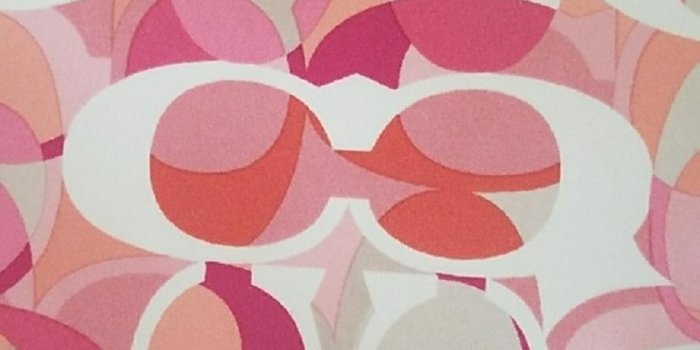 960x960 Wristlet Pink Orange Clutch