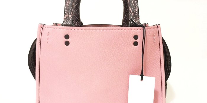 2048x1536 Coach Leather Rogue 25 Snake Detail Petal Pink – Past & Present Boutique