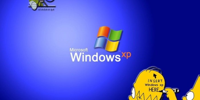 1024x768 Homer Simpson - Homer Simpson Wallpaper (3065125) - Fanpop