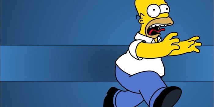 1024x768 Homer Simpson - homer simpson wallpaper (3065109) - fanpop