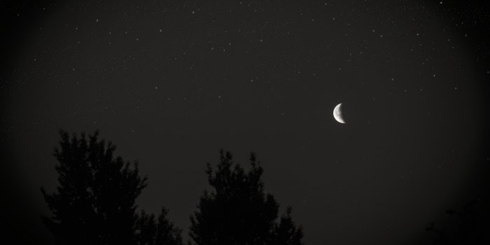 3840x2400 Download wallpaper 3840x2400 moon, night, sky, tree, stars, dark 4k