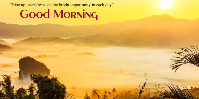 1920x1080 Lovely View Good Morning Nature Wallpaper - Nature Good Morning