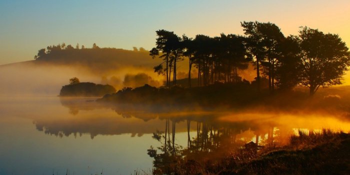 1920x1080 Morning Nature Pictures #6997223