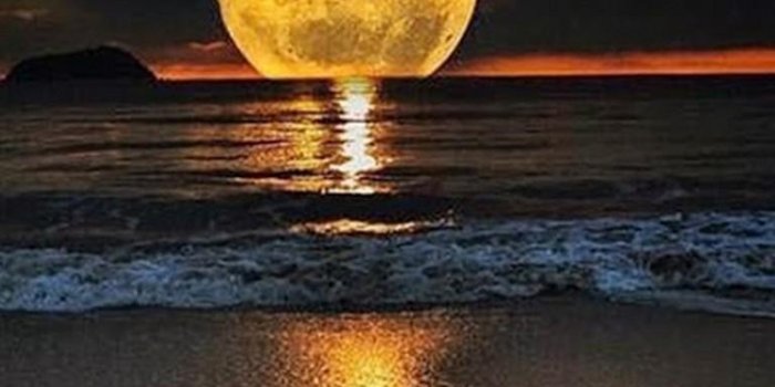 768x1024 Moon Night Scene Wallpaper HD for Android - APK Download