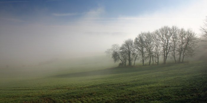 2400x1600 Fogs Misty Morning Nature #Wallpaper - HD Wallpapers