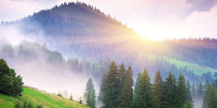 2880x1800 Wallpaper Beautiful morning nature, mountains, fog, dawn, trees, sun