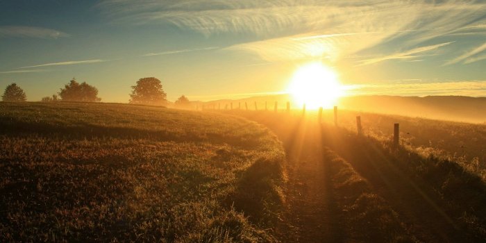 1920x1200 2807809 morning nature sun rays landscape sunlight field wallpaper
