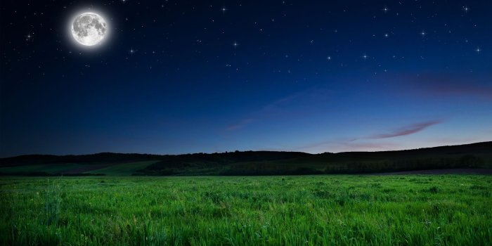 1920x1200 Full Moon Night Wallpaper - Moon Night Hd (#152857) - HD Wallpaper